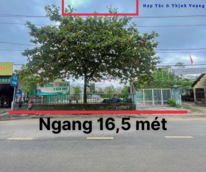 Cho Thuê 800m2 Đất Trống Đường Bùi Thị Xuân Gần chợ Phường Đúc