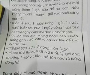 Thuốc Đông Y Đông Á - Sự Lựa Chọn Tốt Nhất Cho Hệ Hô Hấp