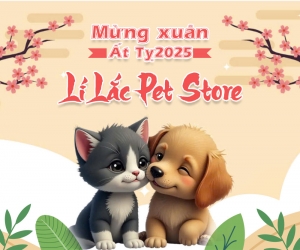 Lí Lắc Pet Store Hoạt Động Xuyên Suốt Dịp Tết Nguyên Đán Ất Tỵ 2025...