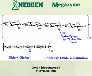 Xylan (Beechwood) - P-XYLNBE-10G - Neogen - Megazyme 