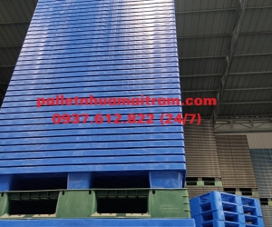 Pallet nhựa cũ Ninh Thuận giá rẻ, giao hàng tận nơi