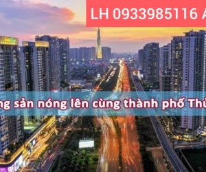 BÁN NHÀ đất đường số 12 phường Bình An ( trục Trần Não - Q2 ) .