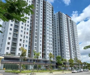 Cần  bán gấp căn hộ C/c Conic Riverside, Phường 7, Quận 8 (KDC 13B