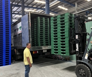 Mua bán pallet nhựa giá rẻ tại Biên Hoà