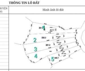 MỞ BÁN GẤP 5 LÔ F0 TẠI THÔN MỊN TO_XÃ TRÙ HỰU_LỤC NGẠN_BẮC GIANG