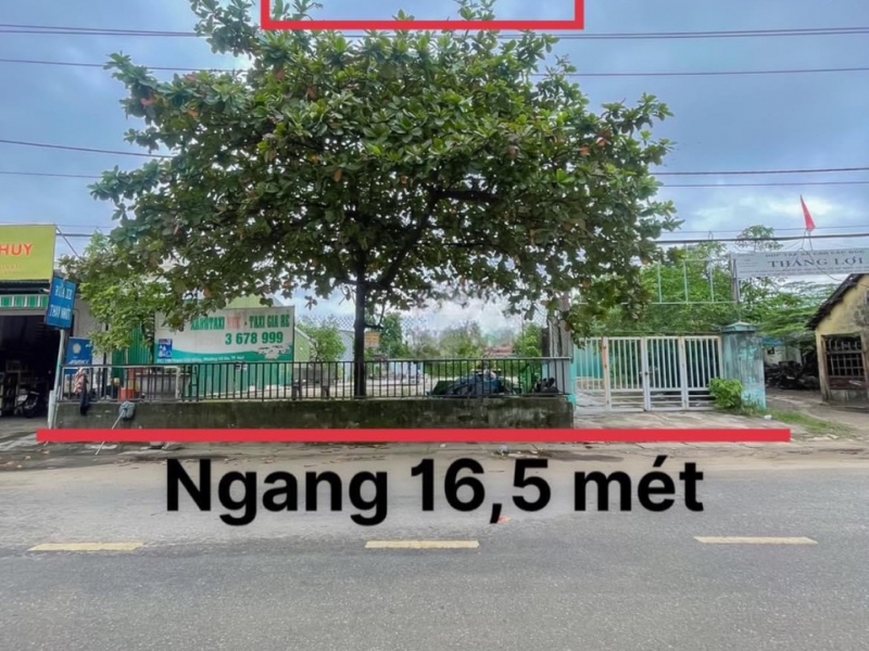 Cho Thuê 800m2 Đất Trống Đường Bùi Thị Xuân Gần chợ Phường Đúc