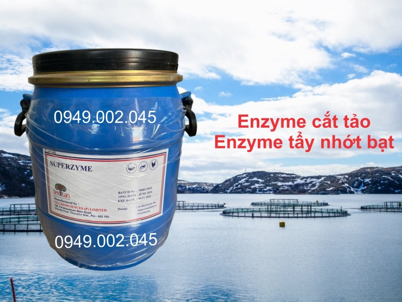 Superzyme - Enzyme cắt tảo, xử lý nước ao nuôi