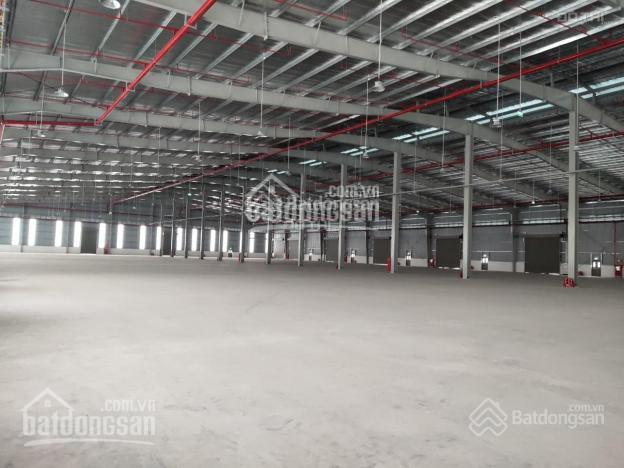 Công ty chúng tôi đang còn kho 1267 m2 trống với một số thông tin