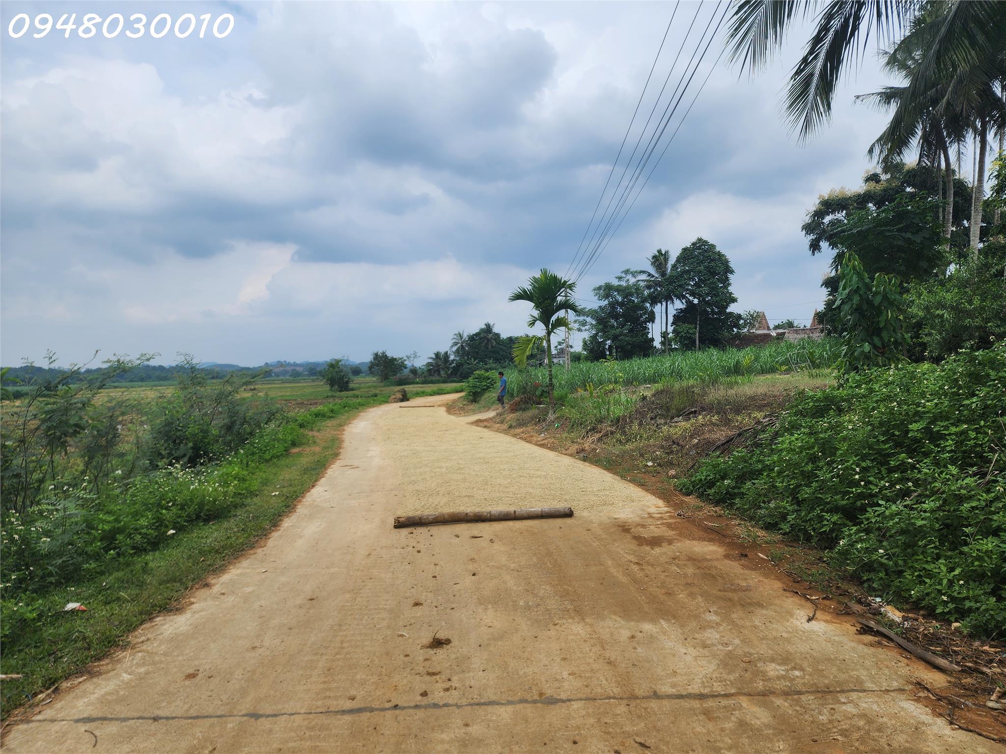 BÁN ĐẤT TẠI THÔN MINH THẮNG, XÃ MINH SƠN, HUYỆN NGỌC LẶC, TỈNH