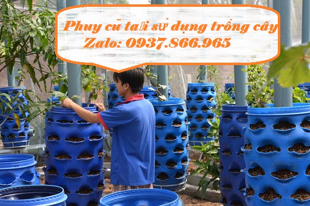 Bán thùng phuy nhựa cũ tại hà nội, phuy nhựa