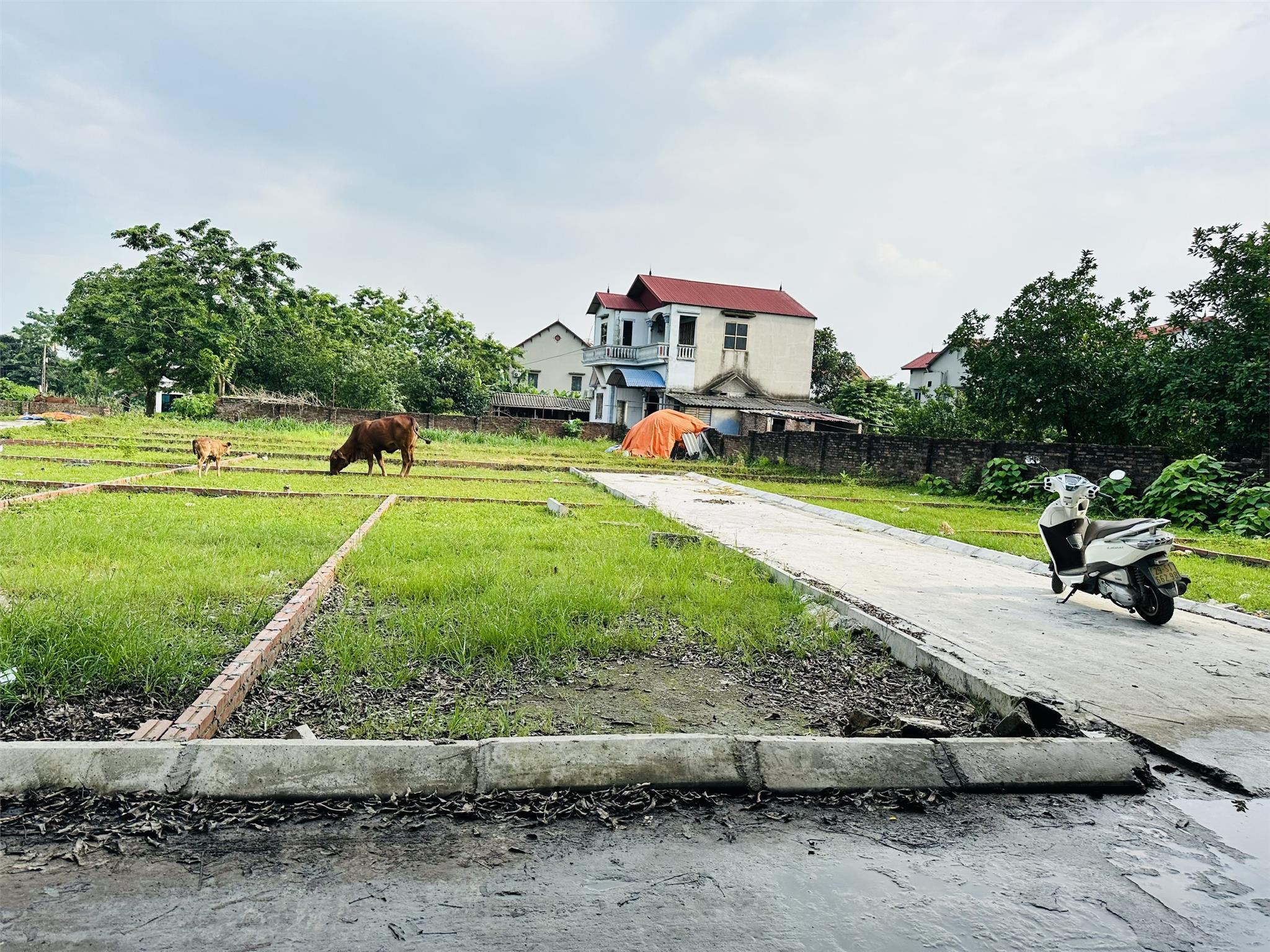 Bán rẻ lô góc Đồng Lạc-Tiên Dược-Sóc Sơn giá nhú 800tr ô tô chạy