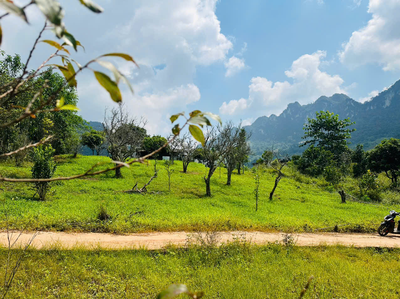 Cơ hội sở hữu mảnh đất tại trung tâm Du lịch Mường Sang Mộc Châu