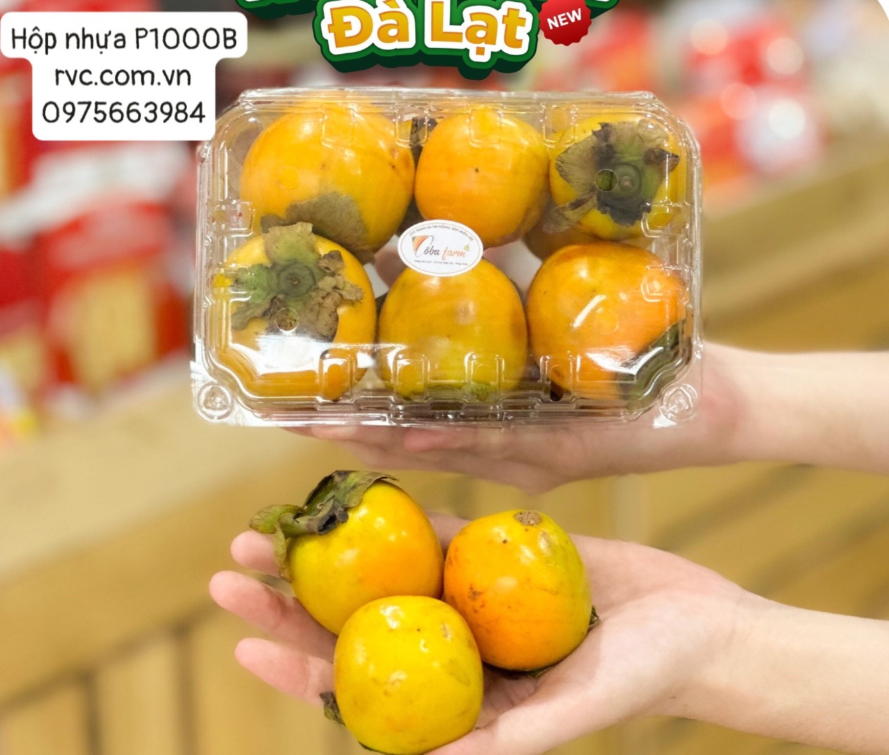 Chuyên sỉ hộp nhựa đựng trái cây 1kg trên toàn quốc 