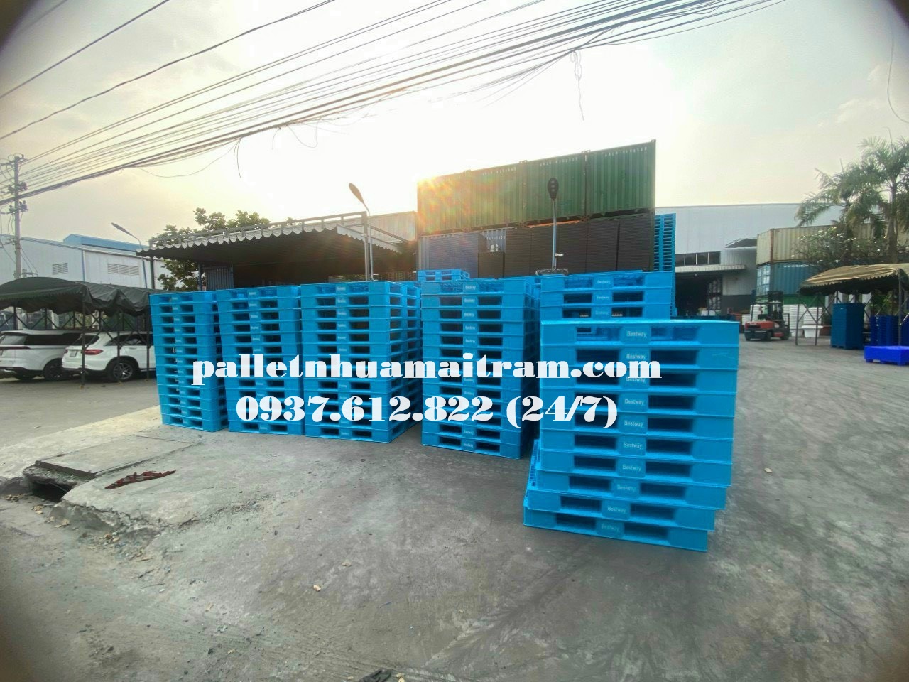 Pallet nhựa cũ Ninh Thuận giá rẻ, giao hàng tận nơi