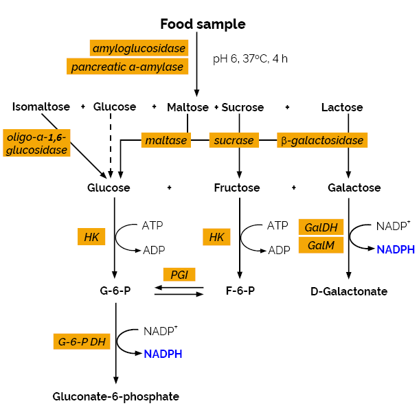 Available Carbohydrates Assay Kit