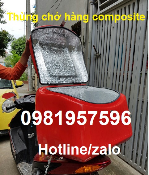 Thùng chở hàng composite dùng để chở hàng, ship hàng sau xe máy