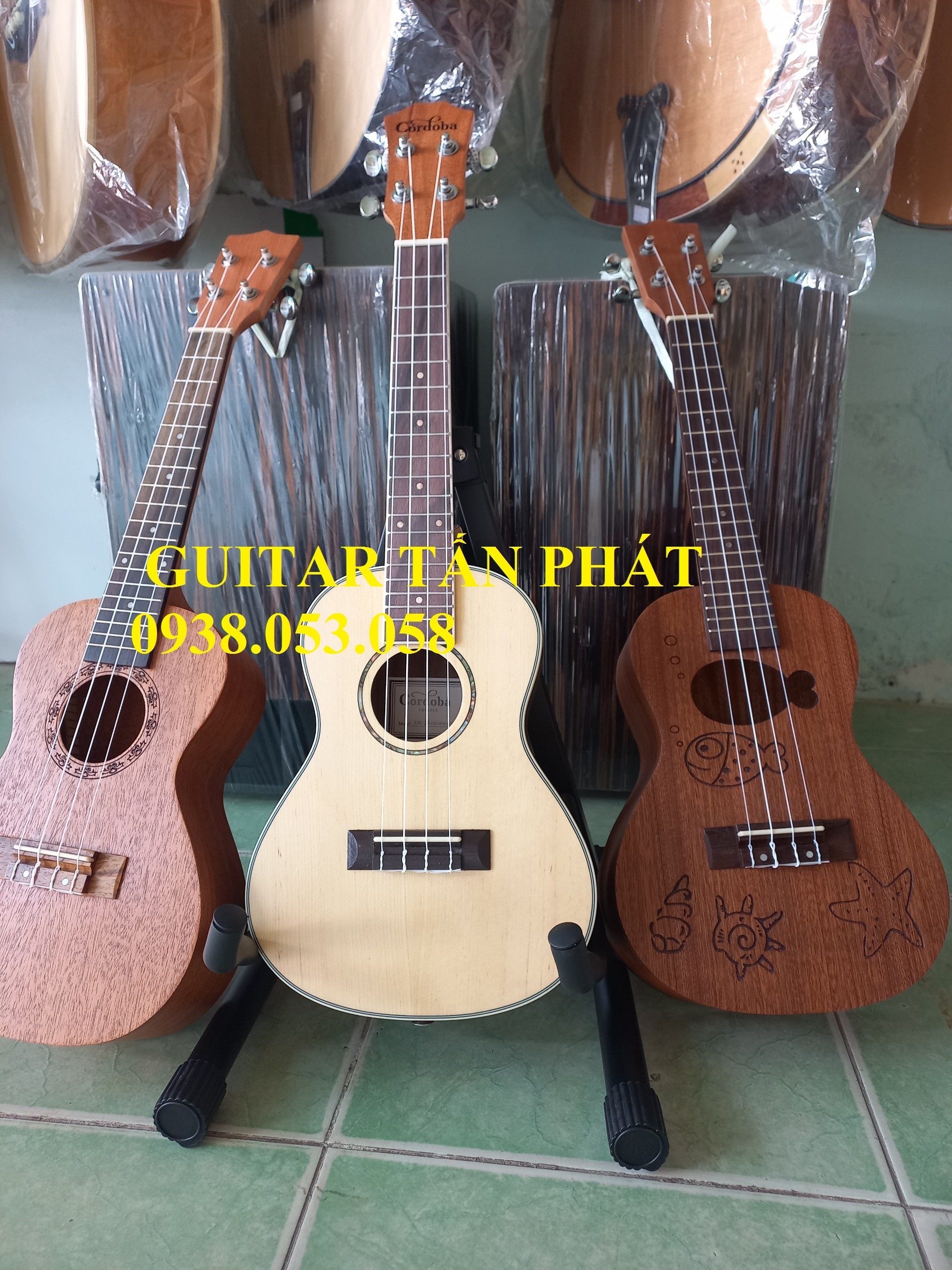 Bán đàn ukulele giá rẻ - 0938,053, 058